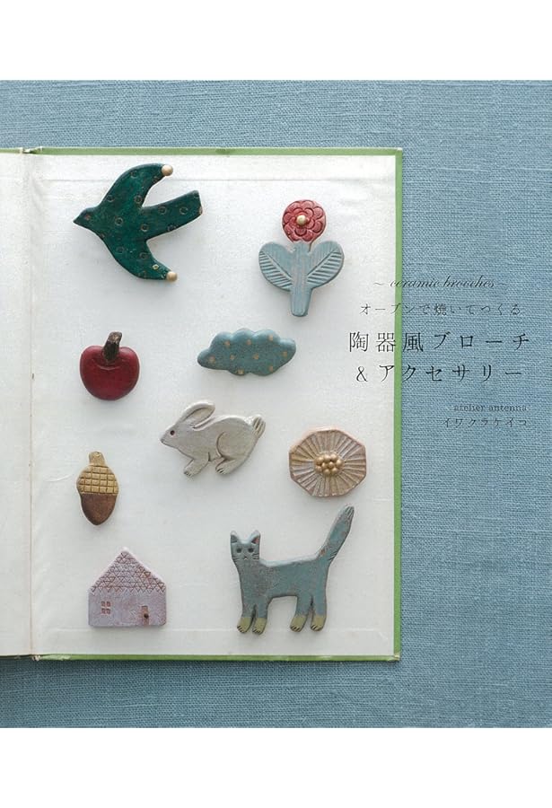 Amazon.co.jp: 小菅幸子 陶器の小さなブローチ : 小菅幸子: 本